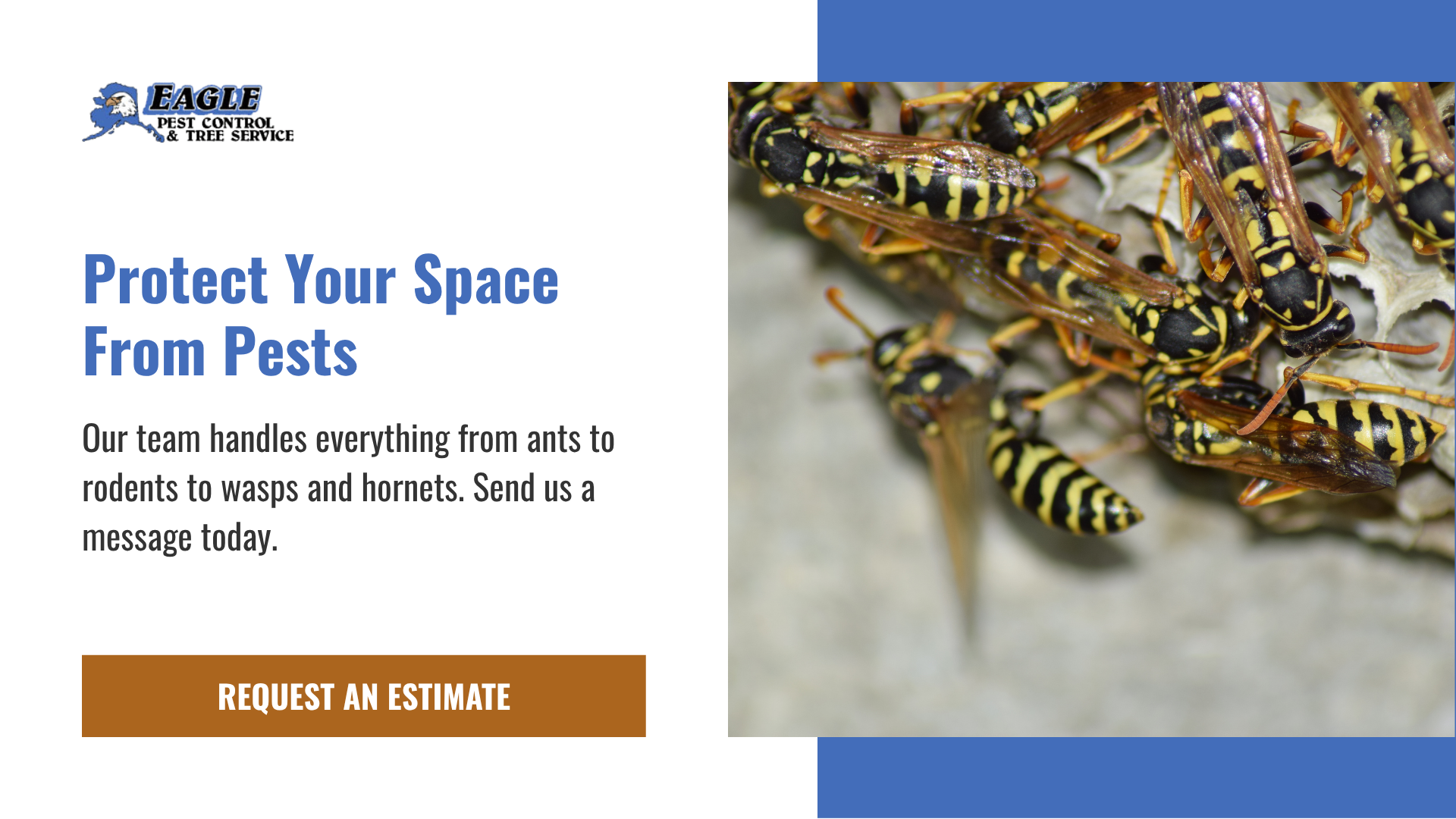 Eagle Pest Control Protects Your Space From Pests, Ants and Rodents