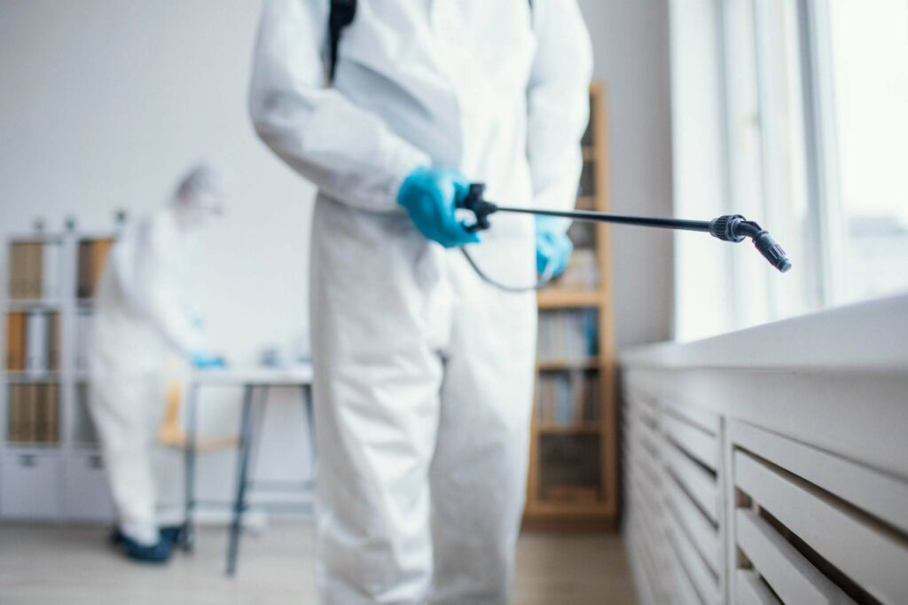 Bed Bug Removal