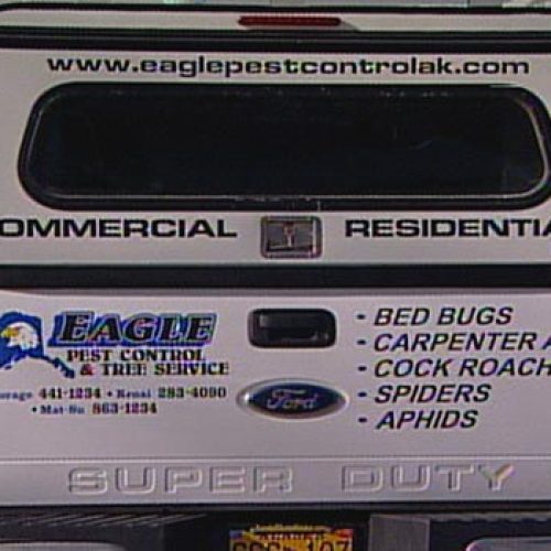 company-background-1